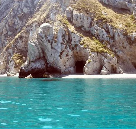 Donna Concetta פאטי